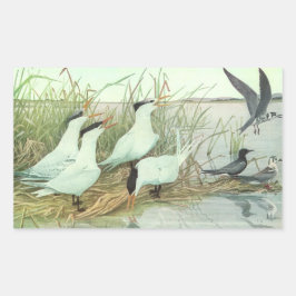 Vintage Shorebirds in Marsh von Louis Futes Rechteckiger Aufkleber