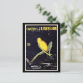 Vintage Showwerbung Postkarte (Stehend Vorderseite)