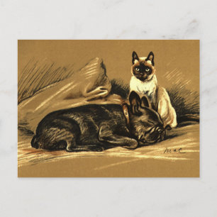 Vintage Siamkatze und Bulldogge Postkarte