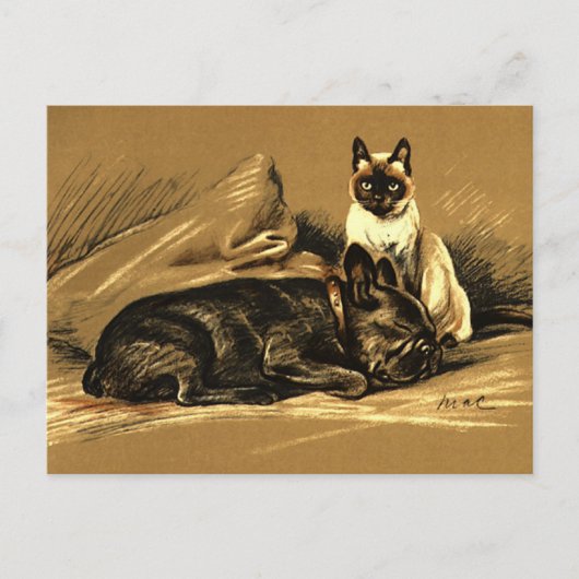 Vintage Siamkatze und Bulldogge Postkarte (Vorderseite)