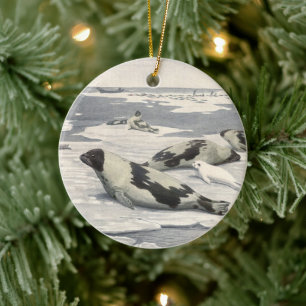 Vintage-Siegelrobben im arktischen Schnee von Loui Keramikornament