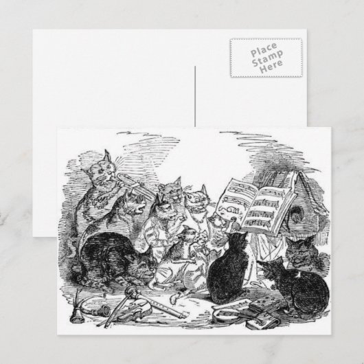 Vintage Singkatzen Postkarte (Vorne/Hinten)