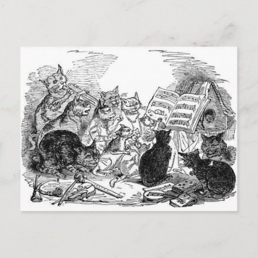 Vintage Singkatzen Postkarte (Vorderseite)