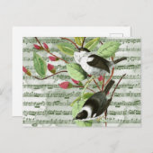 Vintage Singvögel auf Noten Postkarte (Vorne/Hinten)