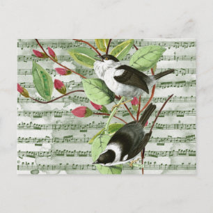 Vintage Singvögel auf Notenblättern Postkarte