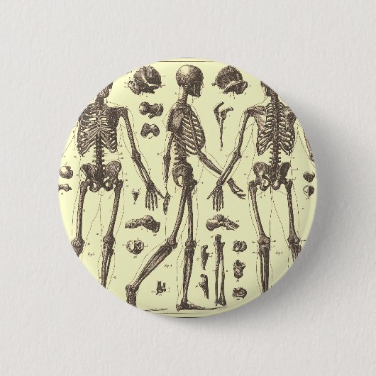 Vintage Skeleton Diagramme Button (Vorderseite)
