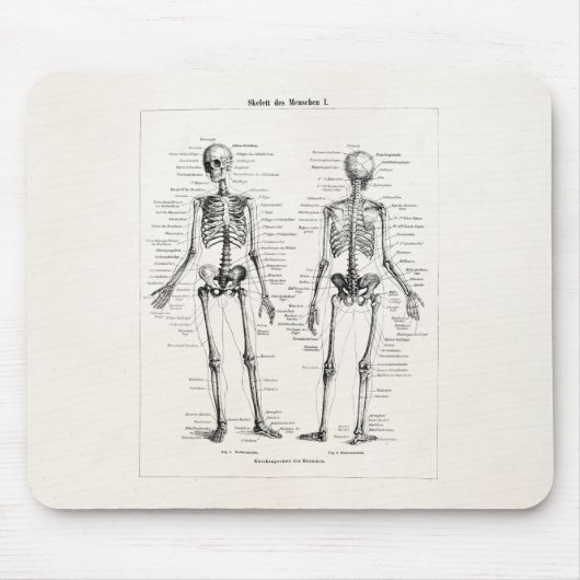 Vintage Skelett Menschliche Anatomie Knochen Schäd Mousepad (Vorne)