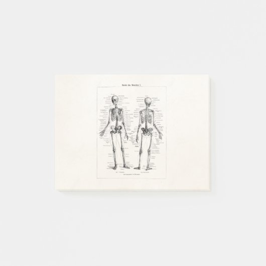 Vintage Skelett Menschliche Anatomie Knochen Schäd Post-it Klebezettel (Vorderseite)