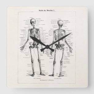 Vintage-Skelett-Menschliche Anatomie Knochen Schäd Quadratische Wanduhr