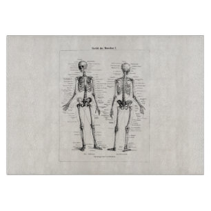 Vintage Skelett Menschliche Anatomie Knochen Schäd Schneidebrett