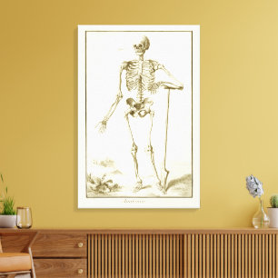 Vintage-Skelett, menschliche Anatomie von Denis Di Leinwanddruck