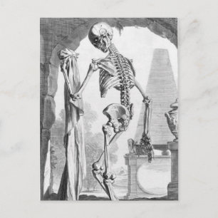 Vintage Skelett Postkarte