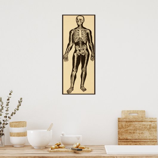 Vintage Skelettabbildungen, gereift Poster (Küche)