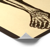 Vintage Skelettabbildungen, gereift Poster (Ecke)