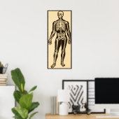 Vintage Skelettabbildungen, gereift Poster (Heimbüro)