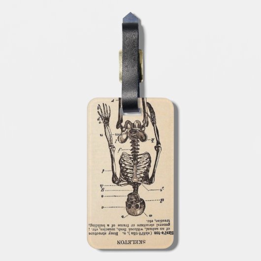 Vintage Skelettdefinition Gepäckanhänger (Rückseite vertikal)
