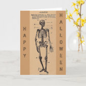 Vintage "Skelettdefinition" Karte (Gelbe Blume)