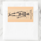 Vintage Skelettdefinition Rechteckiger Aufkleber (Tasche)