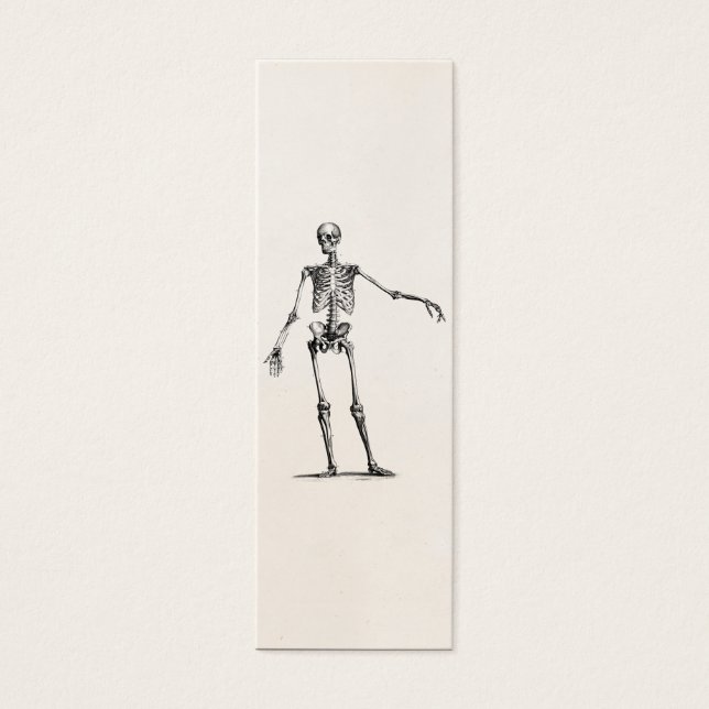 Vintage Skelettfräsen 1800er Jahre Retro Anatomie  (Vorderseite)
