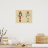 Vintage Skelton-Anatomie Poster (Küche)