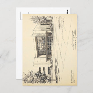 Vintage Sketch Hindu Affenfarm Postkarte