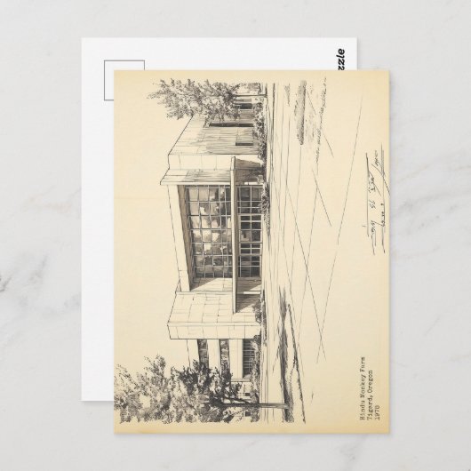 Vintage Sketch Hindu Affenfarm Postkarte (Vorne/Hinten)