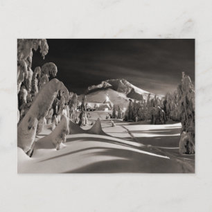 Vintage-Ski-Bild, Skispur durch die Bäume Postkarte