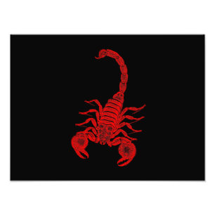 Vintage Skorpion-Illustration 1800er Rote Skorpion Fotodruck