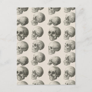 Vintage Skull-Illustrationen Postkarte