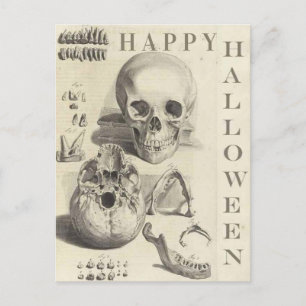Vintage Skulls Frohe Halloween Feiertagspostkarte