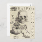 Vintage Skulls Frohe Halloween Feiertagspostkarte (Vorne/Hinten)