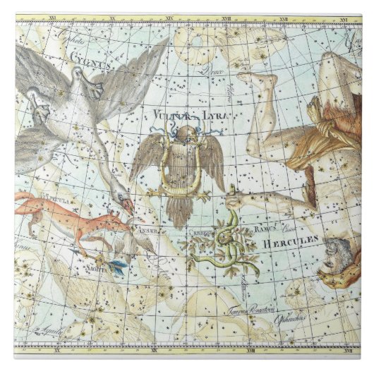 Vintage Sky Map Constellation of Hercules Fliese (Vorderseite)