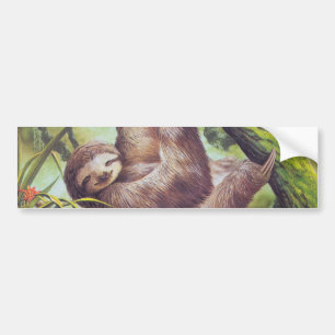 Vintage Sloth-Illustration Autoaufkleber