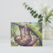 Vintage Sloth Illustration Postkarte (Stehend Vorderseite)