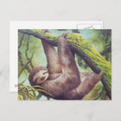 Vintage Sloth Illustration Postkarte (Vorne/Hinten)