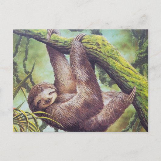 Vintage Sloth Illustration Postkarte (Vorderseite)