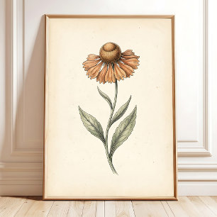 Vintage Sneezeweed Botanische Kunst Druck Poster