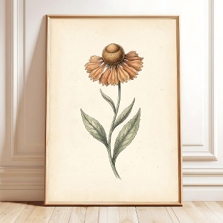 Vintage Sneezeweed Botanische Kunst Druck Poster