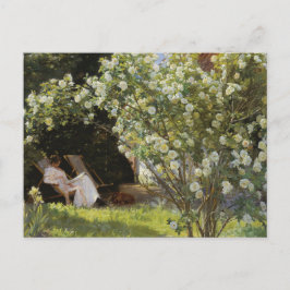 Vintage Sommer-Malerei White Roses Lesen Frau Postkarte