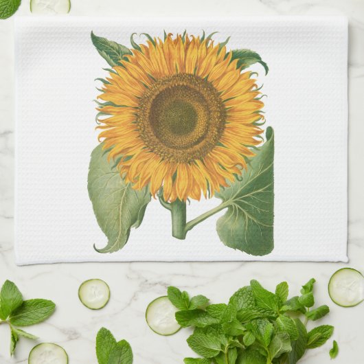 Vintage Sonnenblume Blume von Basilius Besler Geschirrtuch (Gefaltet)