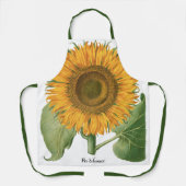 Vintage Sonnenblume Blume von Basilius Besler Schürze (Vorderseite)