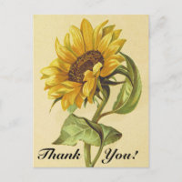 Vintage Sonnenblume "Danke!" Postkarte