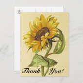 Vintage Sonnenblume "Danke!" Postkarte (Vorne/Hinten)