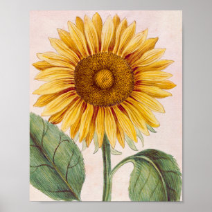 Vintage-Sonnenblume glückliche Blume Poster