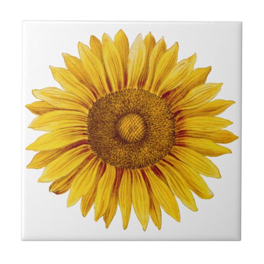 Vintage Sonnenblume Happy Blume Fliese (Vorderseite)