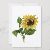 Vintage Sonnenblume | Neue Adresse Karte (Rückseite)