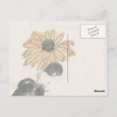 Vintage Sonnenblume Postkarte (Rückseite)