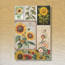 Vintage Sonnenblume Schmetterling Seed Packet Ephe