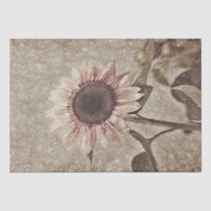 Vintage Sonnenblume Sepia braun rosa Rustikale Tex Seidenpapier