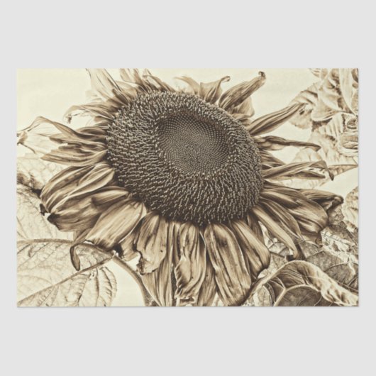 Vintage Sonnenblume Sepia Tone Alte Dekoration Seidenpapier (Vorderseite)